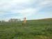 DSCF0078