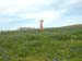 DSCF0080